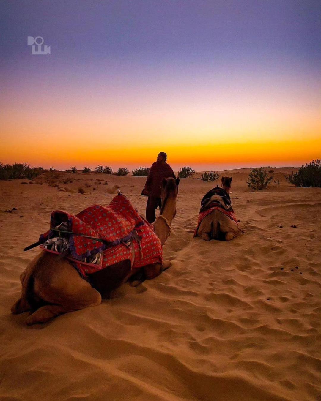 Mirvana Guest House & Camel Safari Jaisalmer Exterior foto